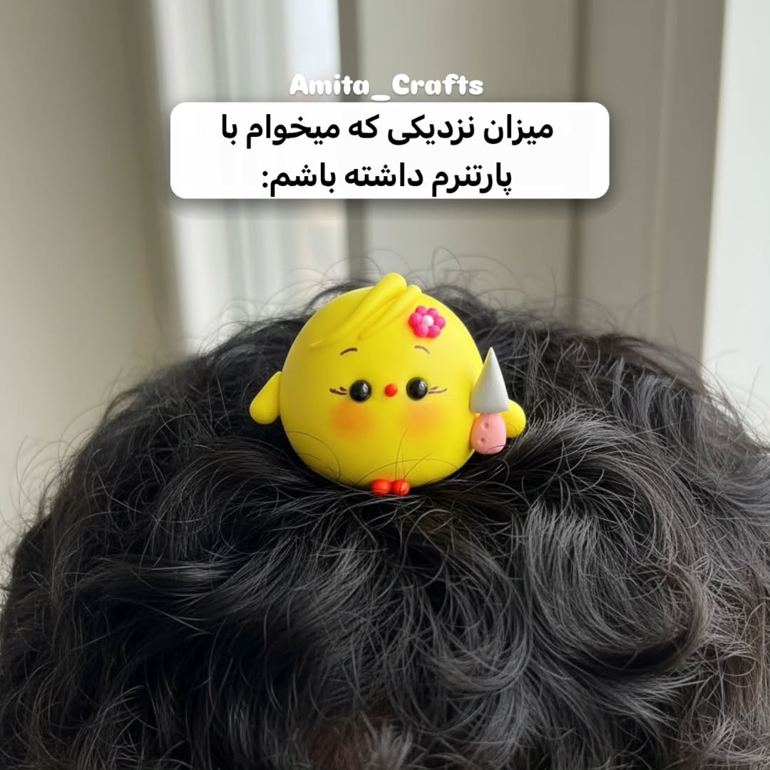 جوجه لات روداشبوردی