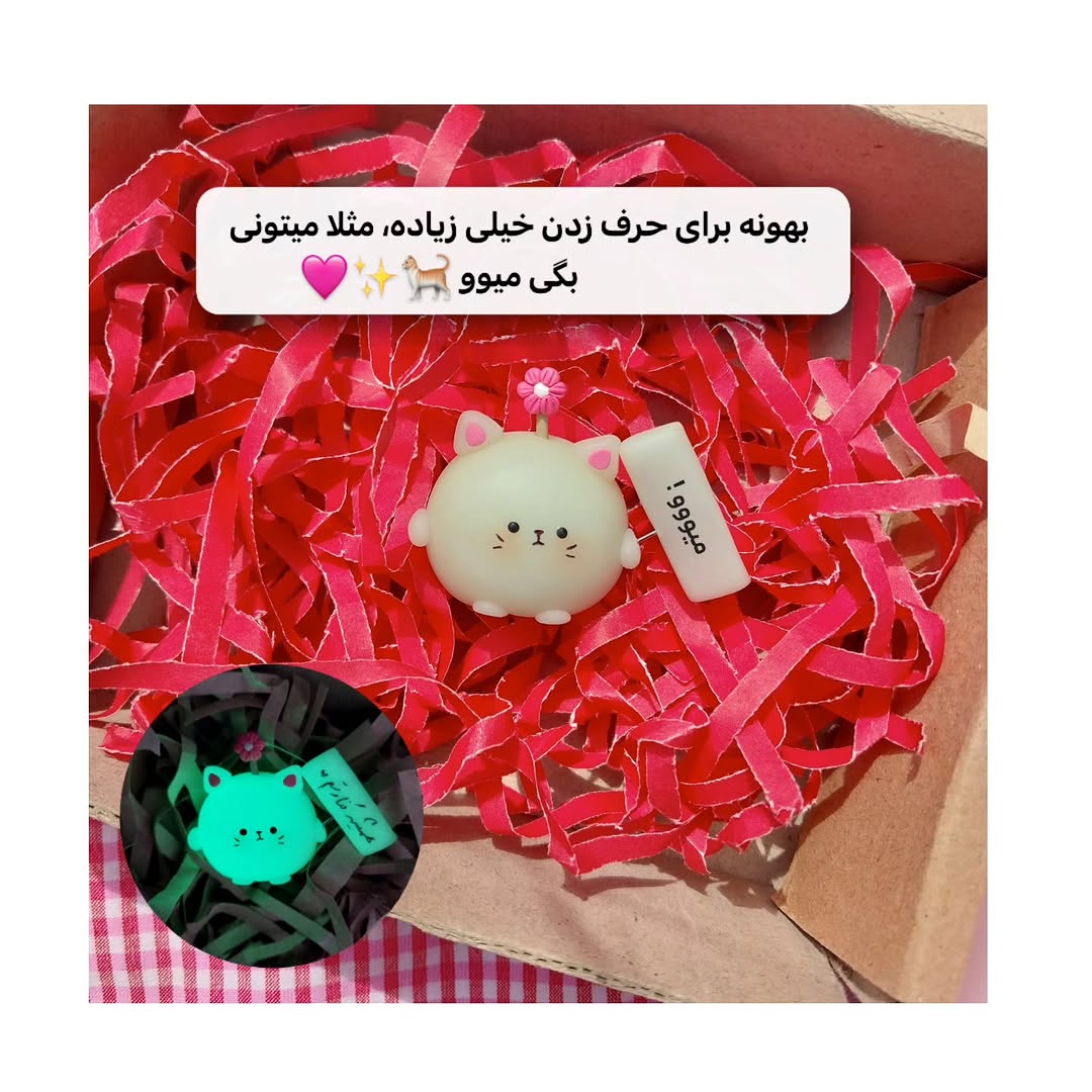 روداشبوردی پیشول شبتاب