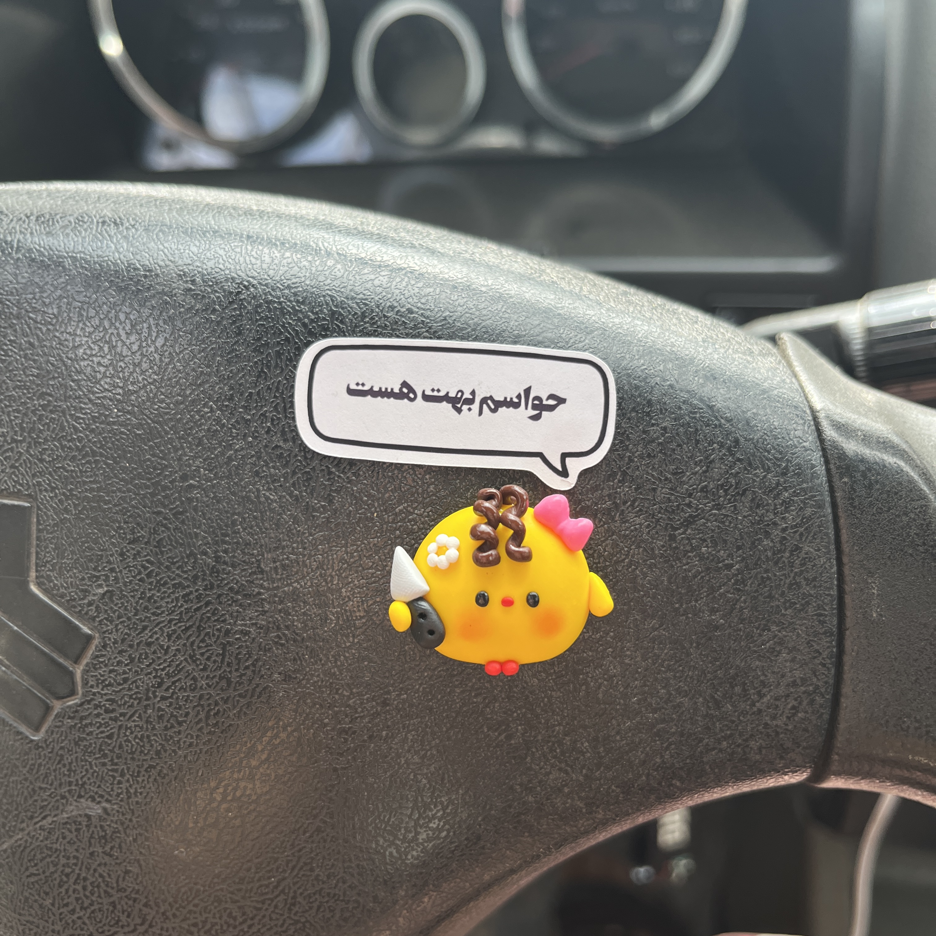 جوجه همراه با متن